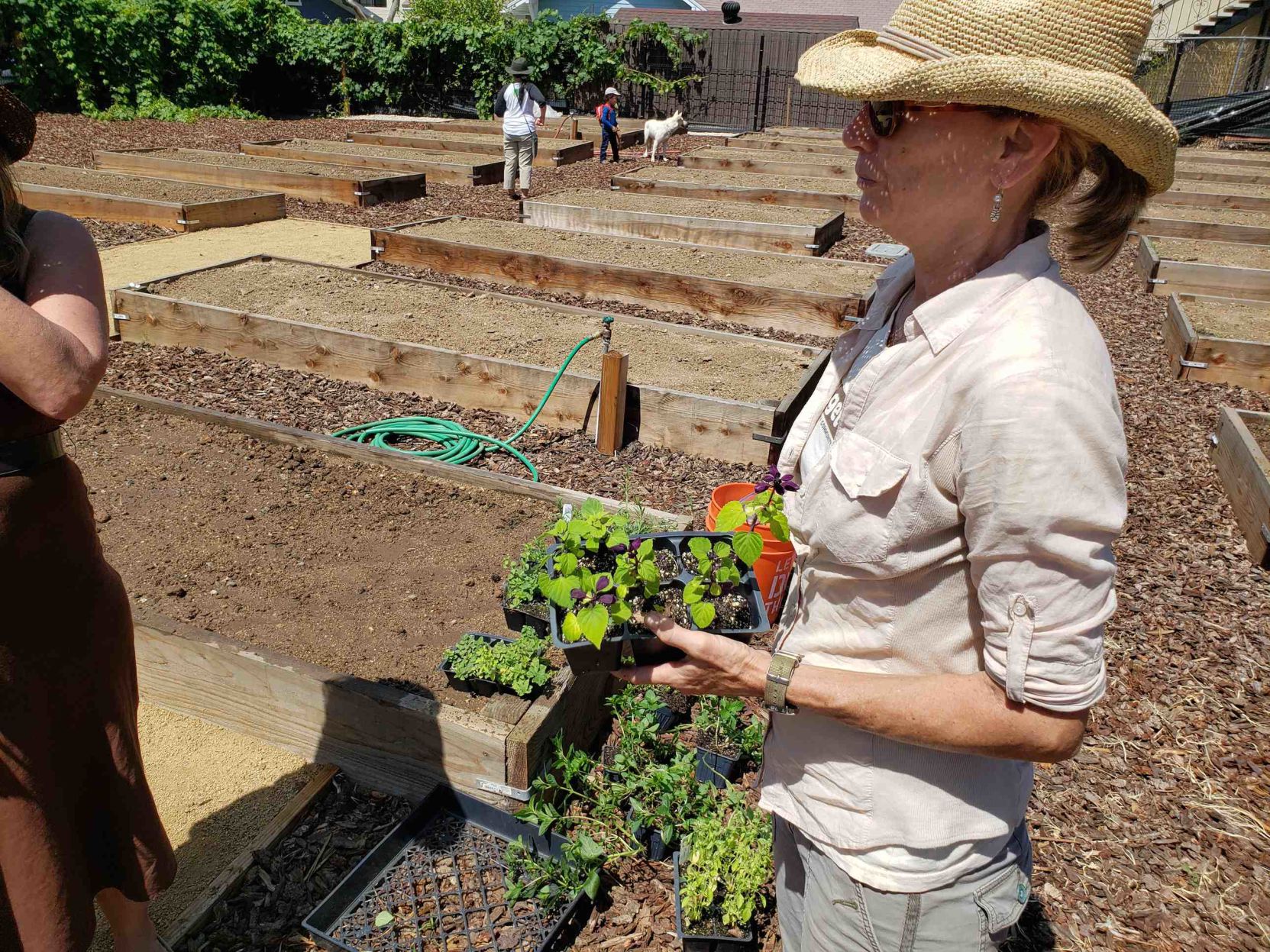 E. Hollywood Community Garden opening with seedlings